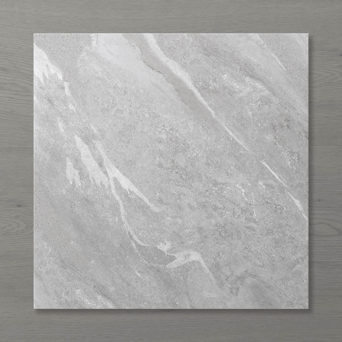 Picture of Pietra Ravine Silver Dollar (Matt) 600x600x10 (Rectified)