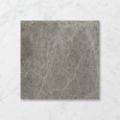 Picture of Pietra Salamanca Chai Latte (Matt) 450x450x7 (Rounded)