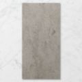 Picture of Pietra Midas Grey Earl (Matt) 1200x600 (Rectified)