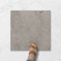 Picture of Pietra Midas Grey Earl (Matt) 450x450x7 (Rounded)