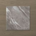 Picture of Pietra Ravine Fossil (Matt) 450x450x7 (Rounded)